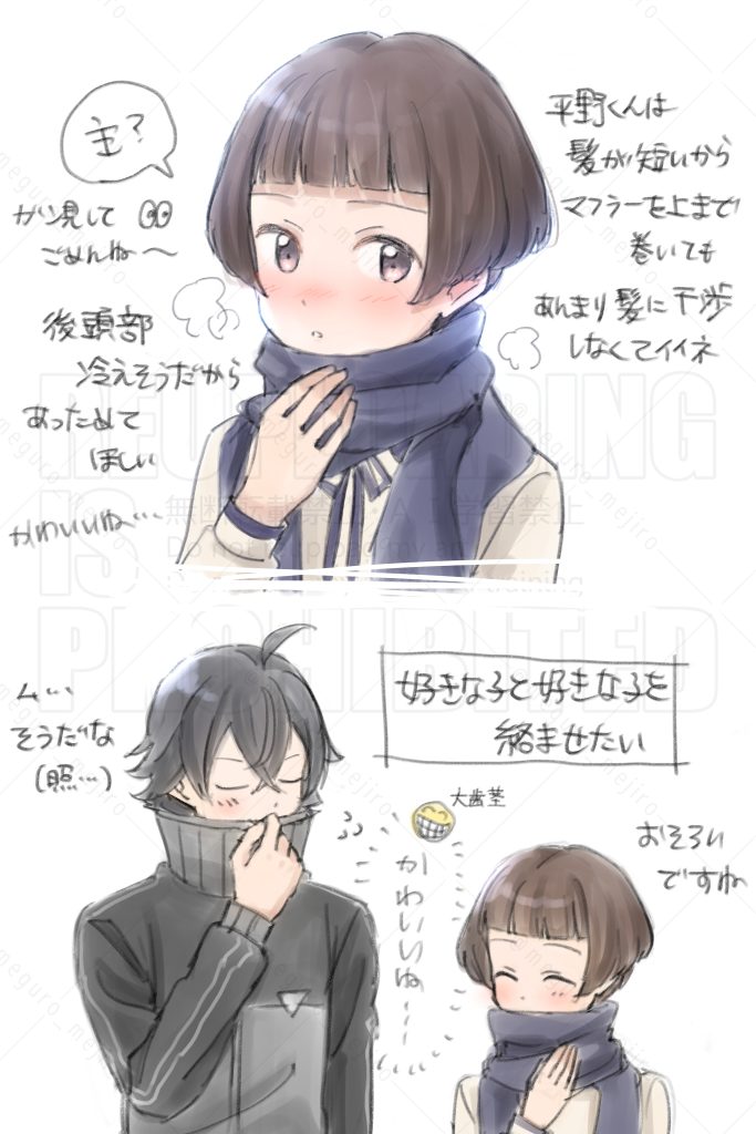🧣